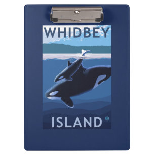 Whidbey Island, WashingtonOrca and Calf Clipboard
