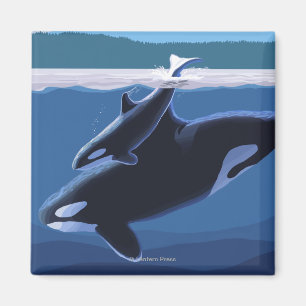 Whidbey Island, WashingtonOrca and Calf Magnet