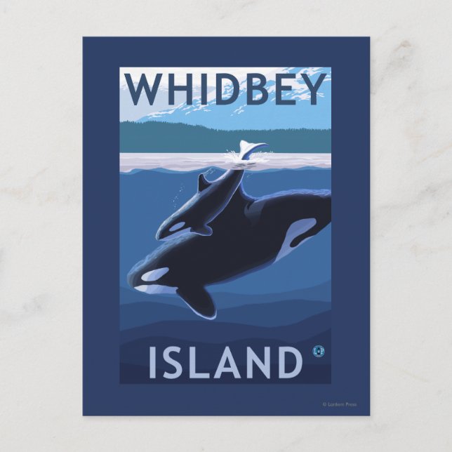 Whidbey Island, WashingtonOrca and Calf Postcard (Front)