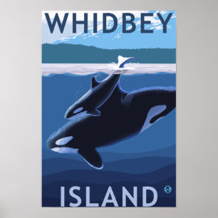 Whidbey Island, WashingtonOrca and Calf Poster