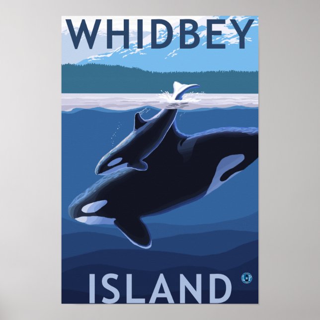 Whidbey Island, WashingtonOrca and Calf Poster (Front)