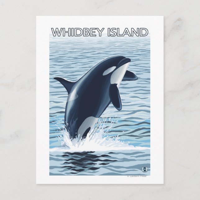 Whidbey Island, WashingtonOrca Jumping Postcard (Front)