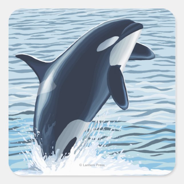 Whidbey Island, WashingtonOrca Jumping Square Sticker (Front)