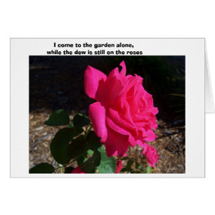 ---While The Dew Is Still On The Roses--