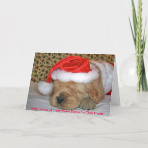 "While Visions of Sugar-Plums Danced in Their ... Holiday Card