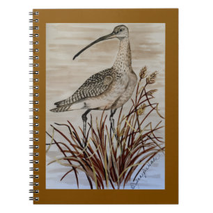 Whimbrel notebook