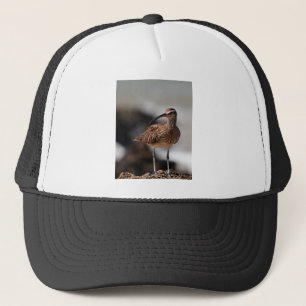 Whimbrel Trucker Hat