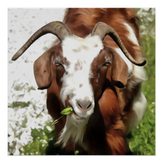 Whimsical Artistic Portrait Of A Goat Grazing Poster