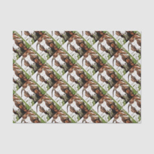 Whimsical Artistic Portrait Of A Goat Grazing Tissue Paper