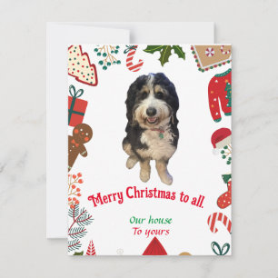 Whimsical Bernedoodle dog Christmas holiday card