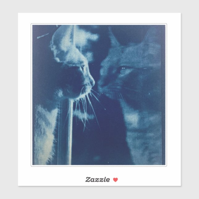 whimsical Blue Bubba Cat Photography (Sheet)