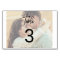 Whimsical Calligraphy | Faded Photo Table Number