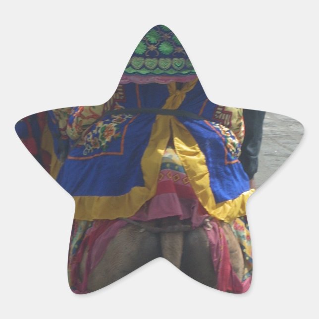 Whimsical Camel Art Print/Graphic Star Sticker (Front)