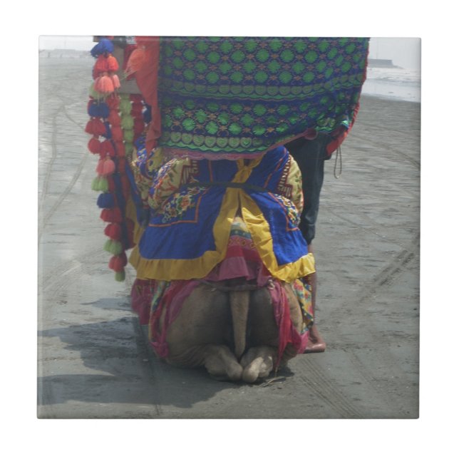 Whimsical Camel Art Print/Graphic Tile (Front)