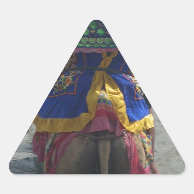 Whimsical Camel Art Print/Graphic Triangle Sticker (Front)