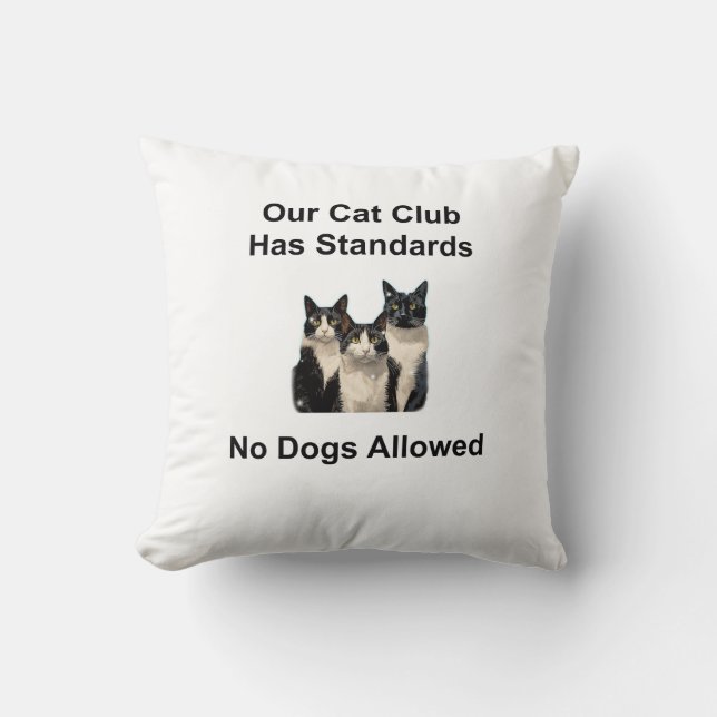 Whimsical Cat Cushion (Front)