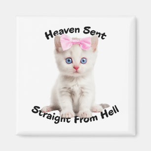Whimsical Cat Magnet