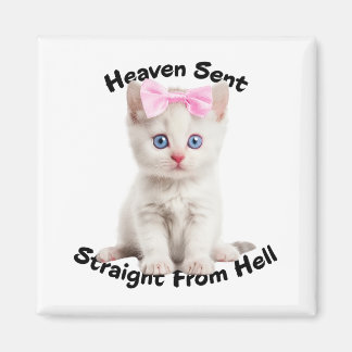 Whimsical Cat Magnet