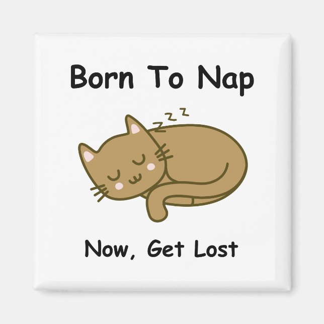 Whimsical Cat Magnet (Front)