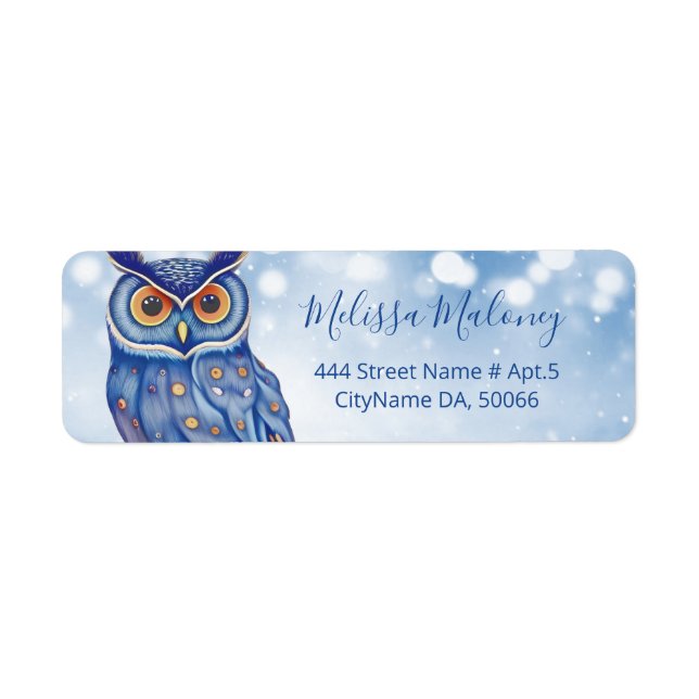 Whimsical Colourful Owl AI Painted Style (Front)
