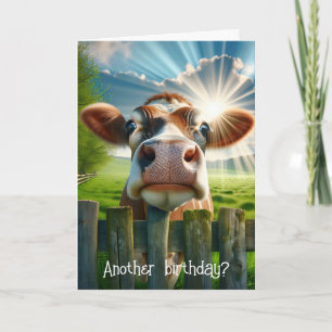 Whimsical Cow Birthday Humour Card