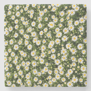Whimsical Daisy Meadow Coaster Set