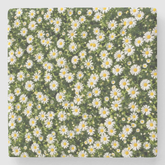 Whimsical Daisy Meadow Coaster Set (Front)