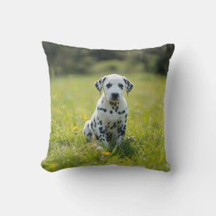 Whimsical Dalmatian  Cushion