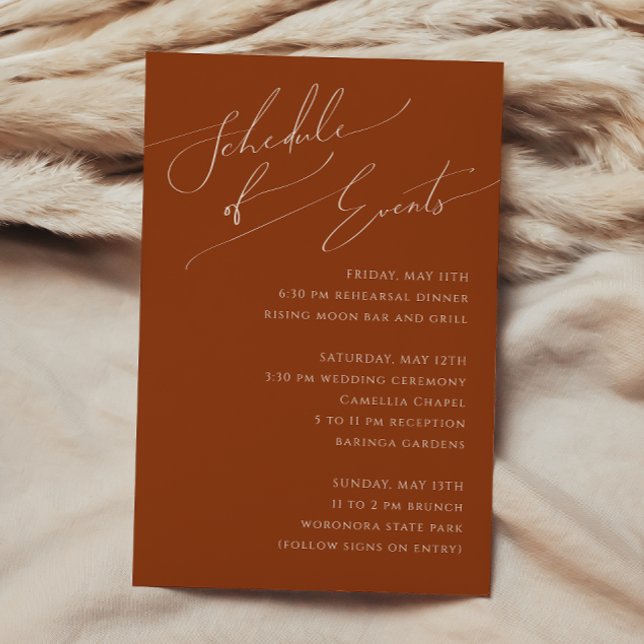 Whimsical Desert | Terracotta Schedule of Events Enclosure Card (Creator Uploaded)