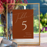 Whimsical Desert | Terracotta Table Number