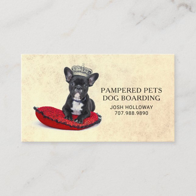 Whimsical Dog Pet Boarding Daycare Kennel Business Card (Front)