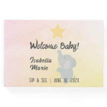 Whimsical Elephant  Sip & See Party