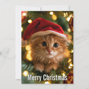 Whimsical Funny Cute Orange Merry Christmas Cat Holiday Card