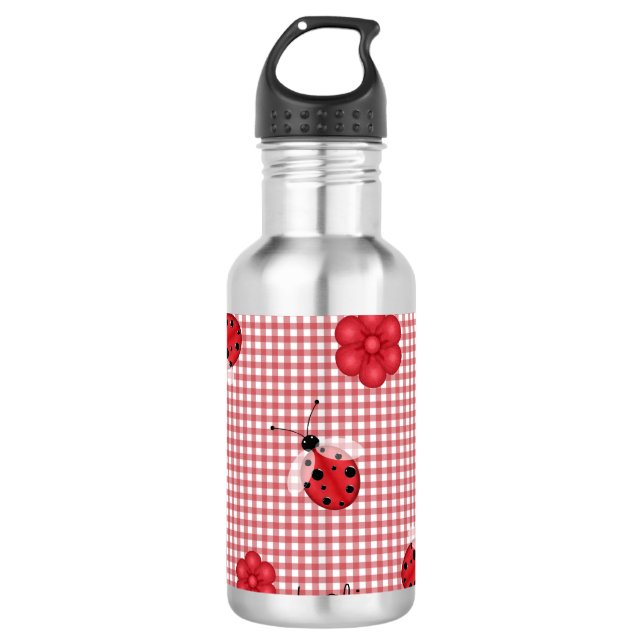 Whimsical Gingham & Ladybugs 710 Ml Water Bottle (Front)