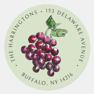 Whimsical Hand-Drawn Wine Grapes Return Address Classic Round Sticker