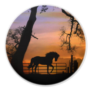 Whimsical Horse Knobs