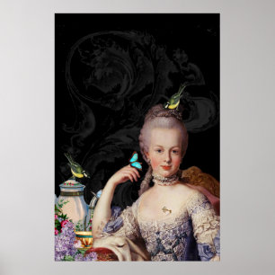 Whimsical Marie Antoinette secret keeper Poster