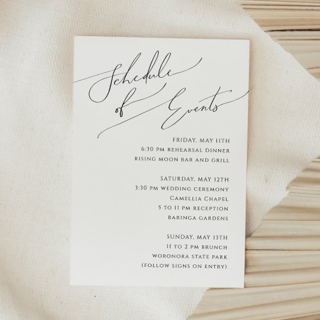 Whimsical Minimalist Script Schedule of Events Enclosure Card (Creator Uploaded)