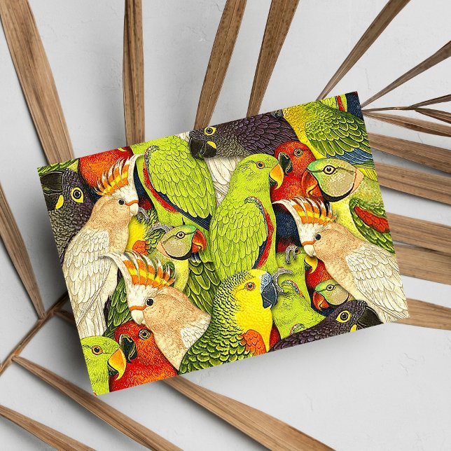 Whimsical Nature Green Parrots Birds Pattern Postcard (Whimsical Nature Green Parrots Birds Pattern)