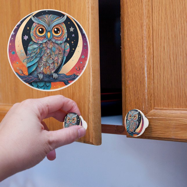 Whimsical Night Owl  Ceramic Knob (Creator Uploaded)