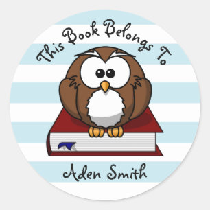 Whimsical Owl And Book Children's Bookplate Classic Round Sticker