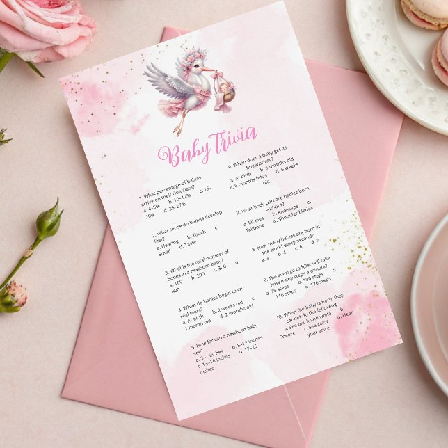 Whimsical Pink Stork Baby Shower Trivia Game (Creator Uploaded)