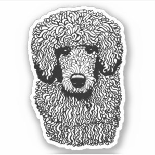 Whimsical Poodle Dog Head Animals Pets art