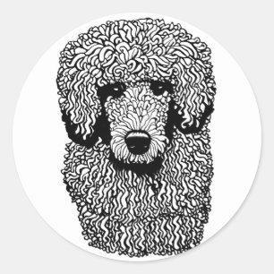 Whimsical Poodle Dog Head Animals Pets art Classic Round Sticker