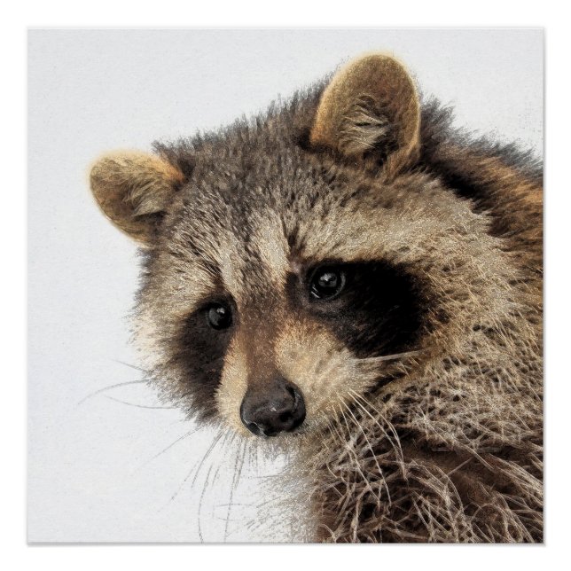 Whimsical Racoon Glossy Poster (Front)