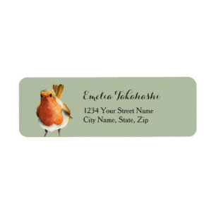 Whimsical Robin Bird Watercolor