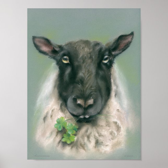 Whimsical Sheep with Shamrocks Poster (Front)