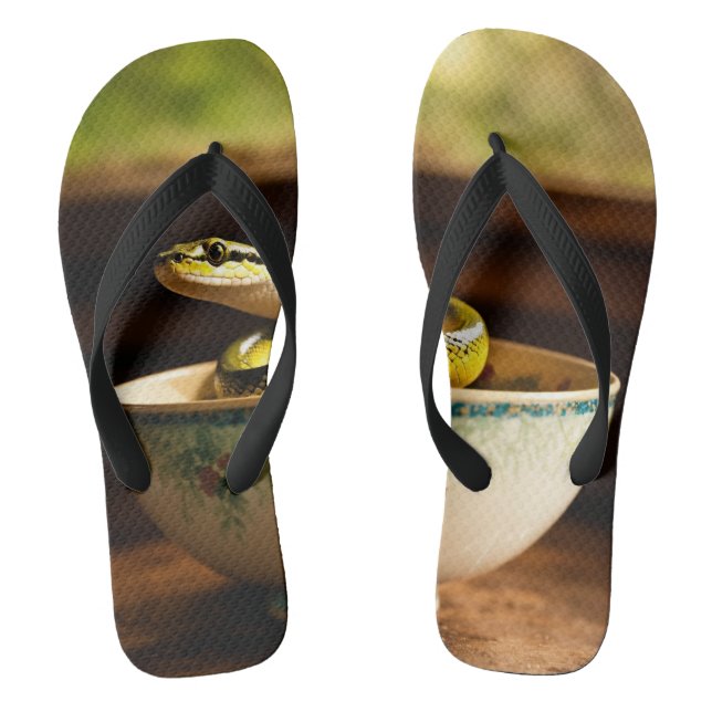 Whimsical  Slippers: Step into Fantasy with  Flip Flops (Footbed)