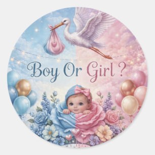 Whimsical Stork Gender Reveal Boy or Girl Classic Round Sticker