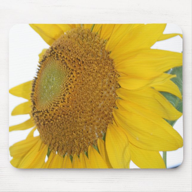 whimsical sunflower photo mousepad (Front)